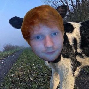 Meet your Posher, Sydney